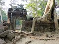 Angkor Ta Prohm P0157